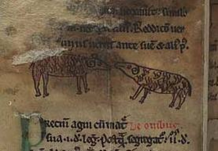 Sheep in Peniarth MS 28