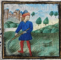 A farmer scything in a calendar in the 'De Grey' Book of Hours, NLW MS 15537C, f.6 (Digital Mirror).
