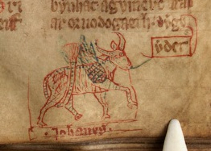 Ox in NLW MS 20143A