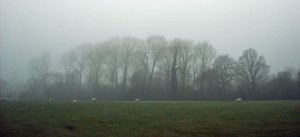 The supposed battlefield at Banbury 