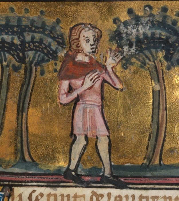 The Lover wearing a tunic and a cloak in 'Roman de la Rose'